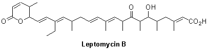 Leptomycin B